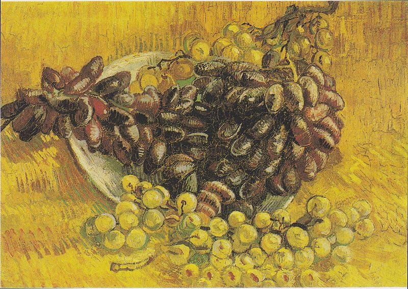 Vincent Van Gogh Still Life with Grapes oil painting image